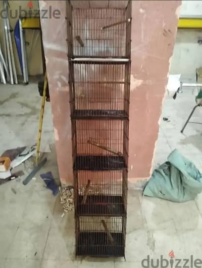 سلاكه استرالي 5عيون 30 *35