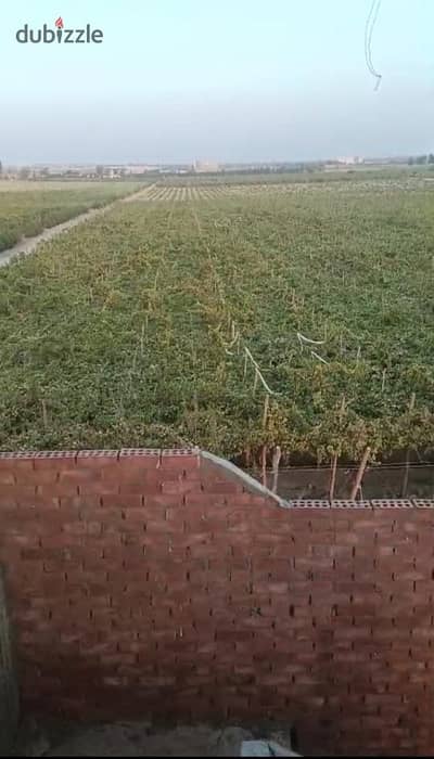 Agricultural land for sale in Sadat City - French Village entrance, only 4 km from the international road, Sadat City, Menoufia
