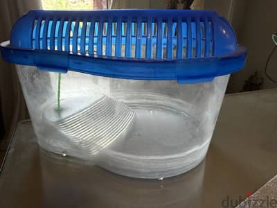 Turtles house