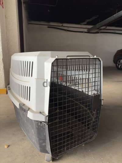 Big dog cage
