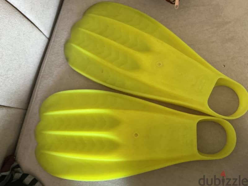 Powerfins 1