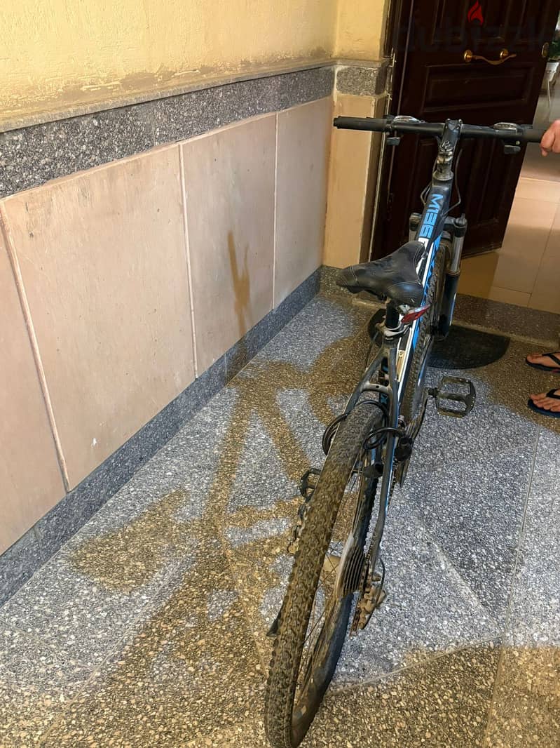 Trinx bicycle 4
