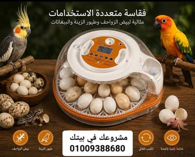 حصريا لدينا لمزيد من المعلومات ابعت رساله عبر الواتس 01009388680