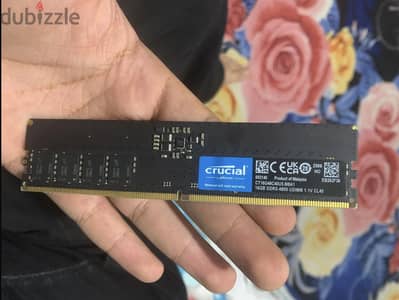 Crucial DDR5 ram
