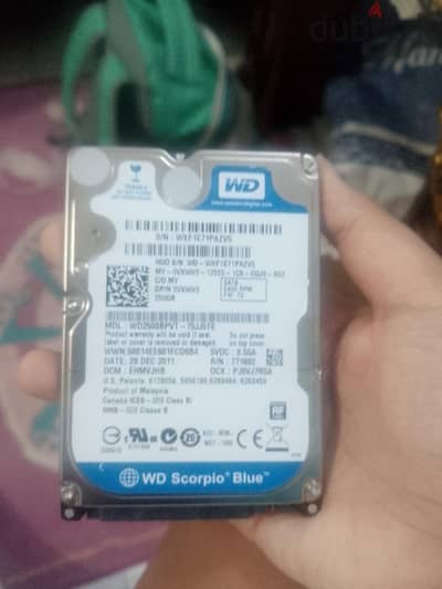 Hard disk drive 250G