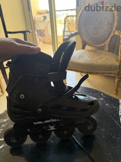 سكيت كوجر ٥٠٩
