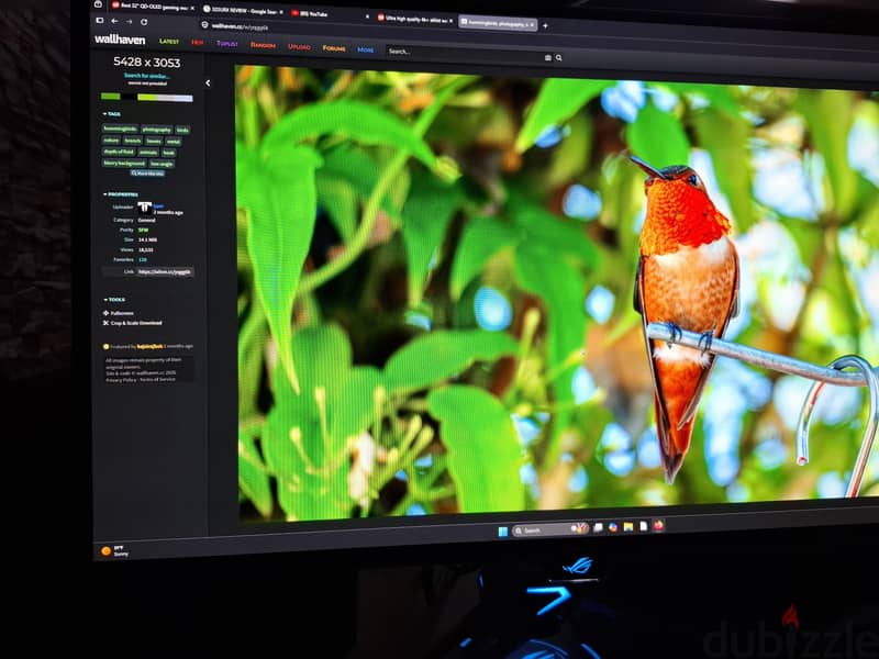 Asus rog swift pg27aqwp-w 3