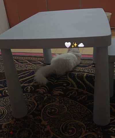 Table and chair for sale