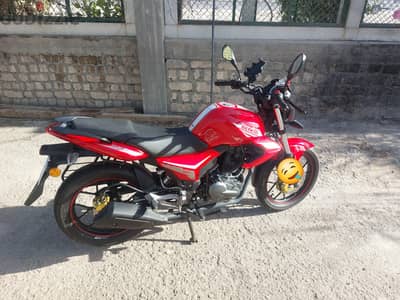 الإسكندرية البيطاش