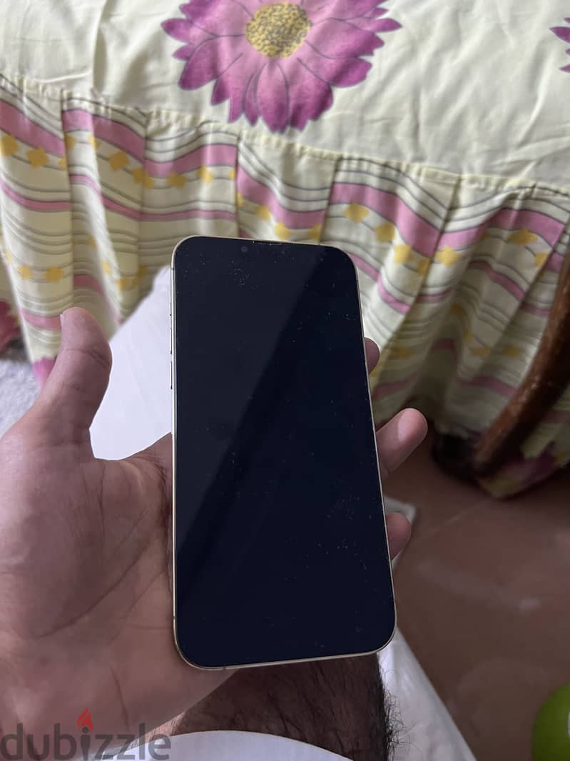 Apple - iPhone 13 Pro Max 1