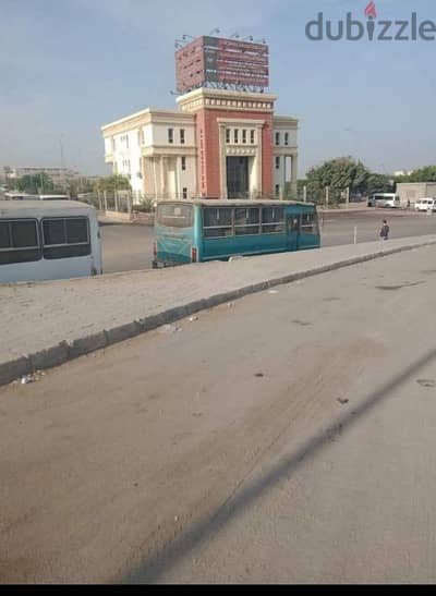 الاسكندريه الكيلو 21 شاطيء النخيل