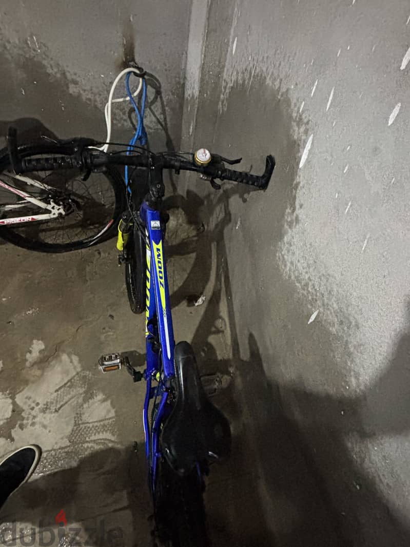 Zoom bicycle 1