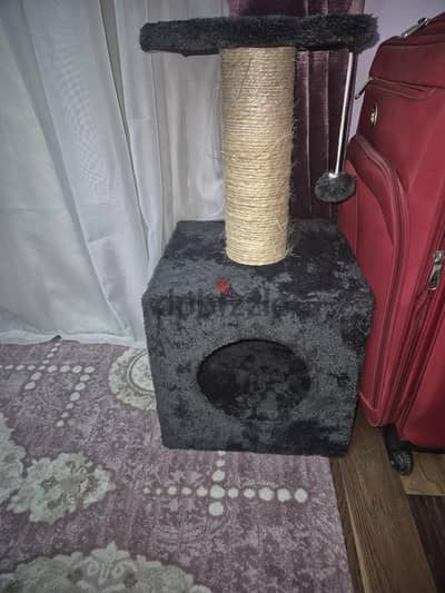 Cozy Cat Bed