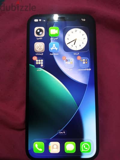 iphone 12 pro max waterproof sure waterproof