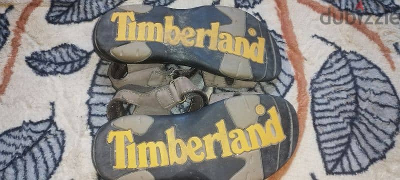 original Timber land 1