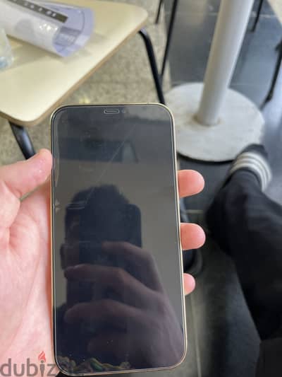 Apple - iPhone 12 Pro Max