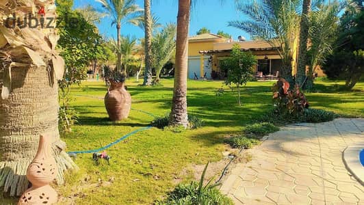 فيلا للايجار اليومي والمدد القصيرة بجوار مطار سفنكس ١٠ دقائق من الشيخ زايد