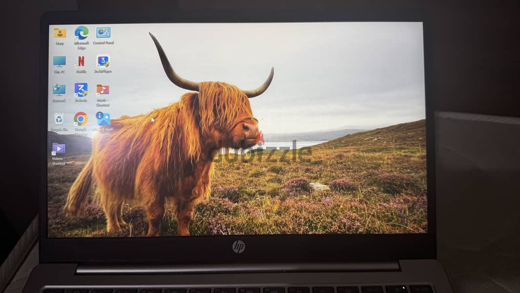 Hp labtop 6
