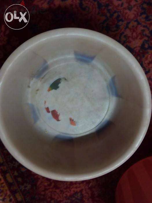 Large plastic plates number 5 4