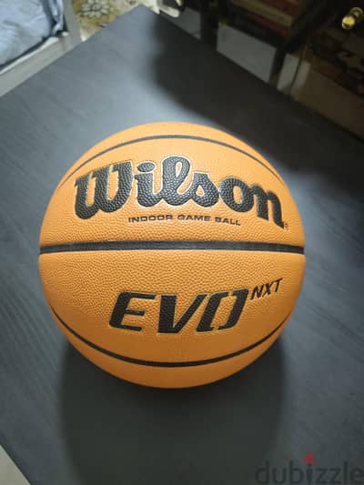 Wilson EVO nxt indoor game ball