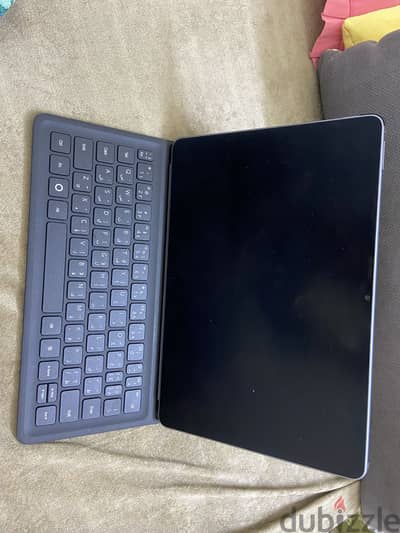 I pad mate pad 11.5 2025