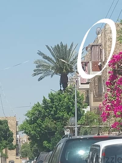 الشيخ زايد