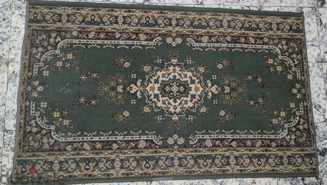 Rug/Carpet - Excellent Condition 3