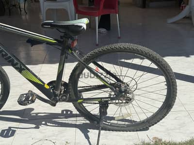 Trinx m117