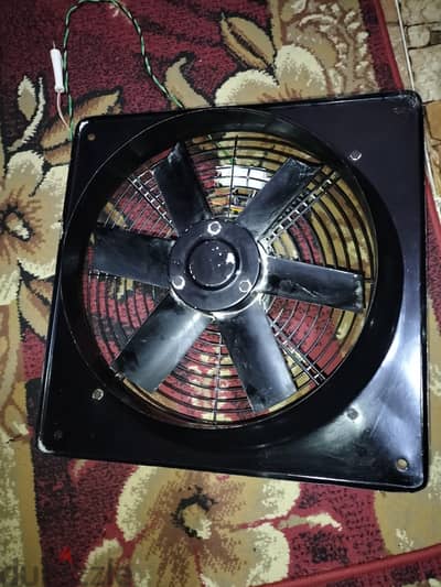 شفاط 50 في 50
