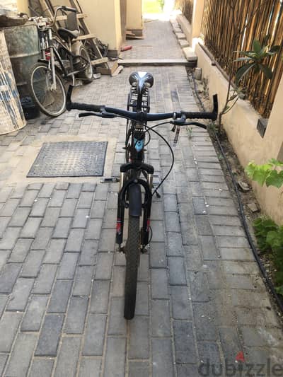 Diamond bicycle