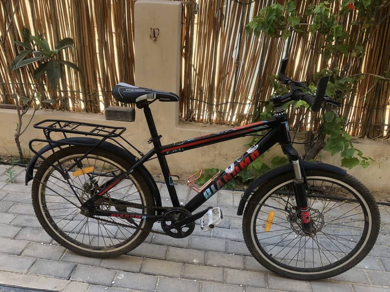 Diamond bicycle 1