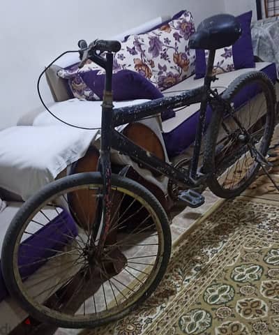 عجلة هندى ممتازة1750