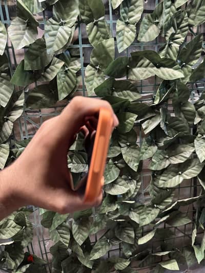 آبل - آيفون 17 برو ماكس