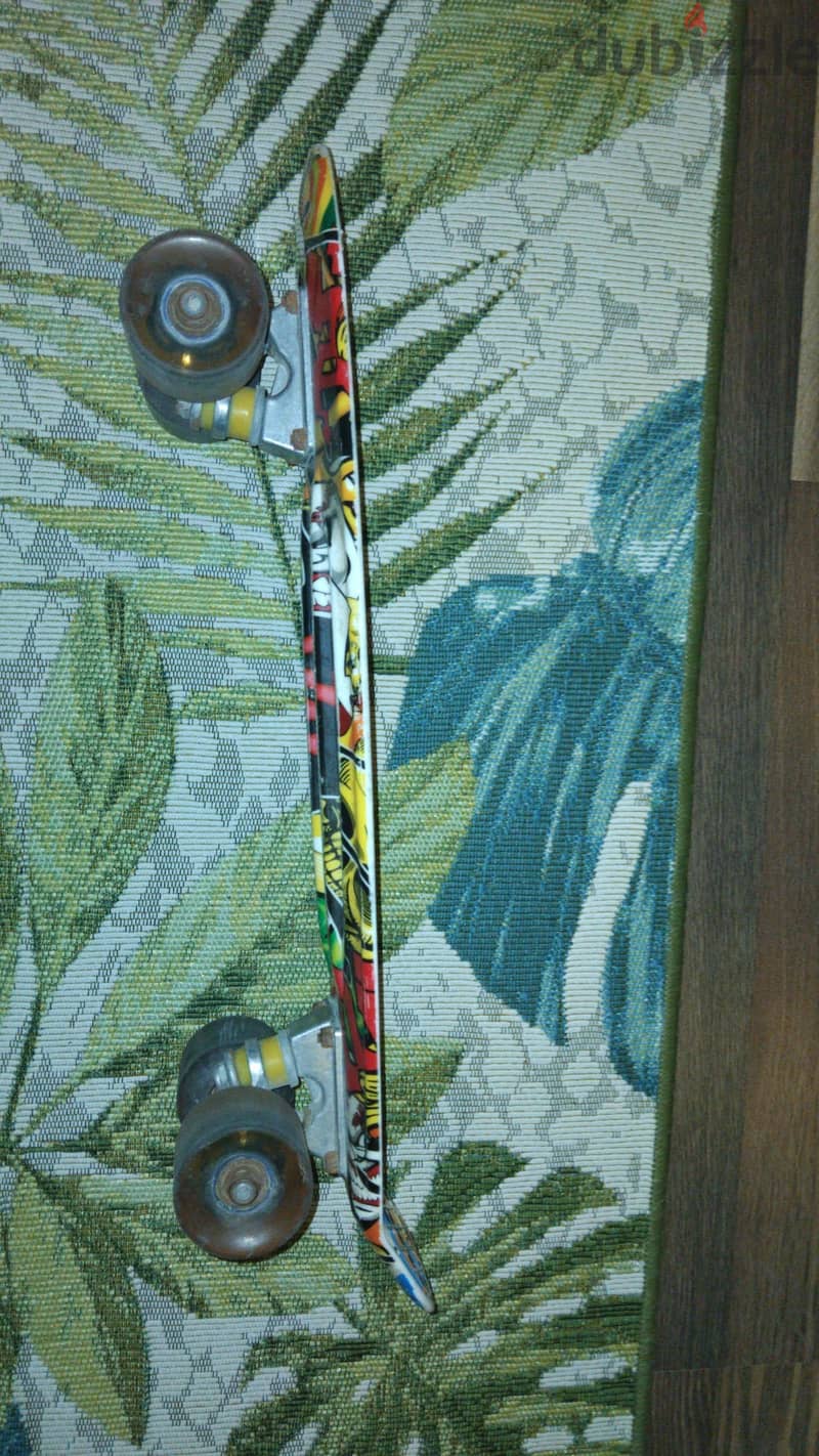 skateboard 1