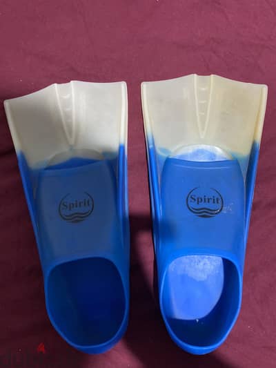 Swimming fina size 39-41 used in good condition