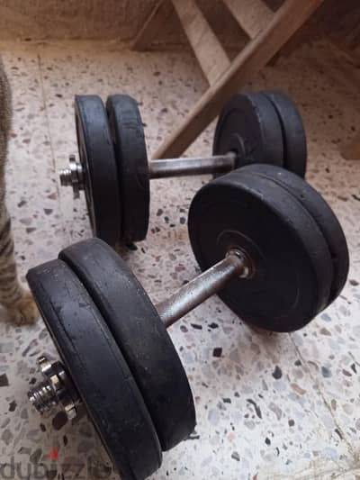 10KG dumbbell