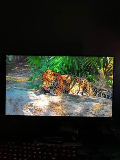 شاشه فيلبس 144hz و24انش و1920x1080
