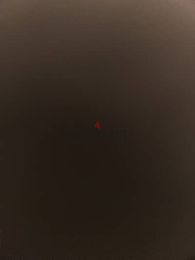 مطلوب نتايه بيتبول ال عنده نتايه بيبعها يكلمني