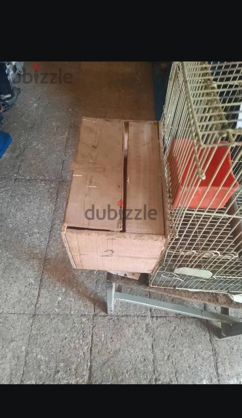 قفص بغبغنات 3