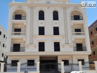 القاهرة الجديدة
