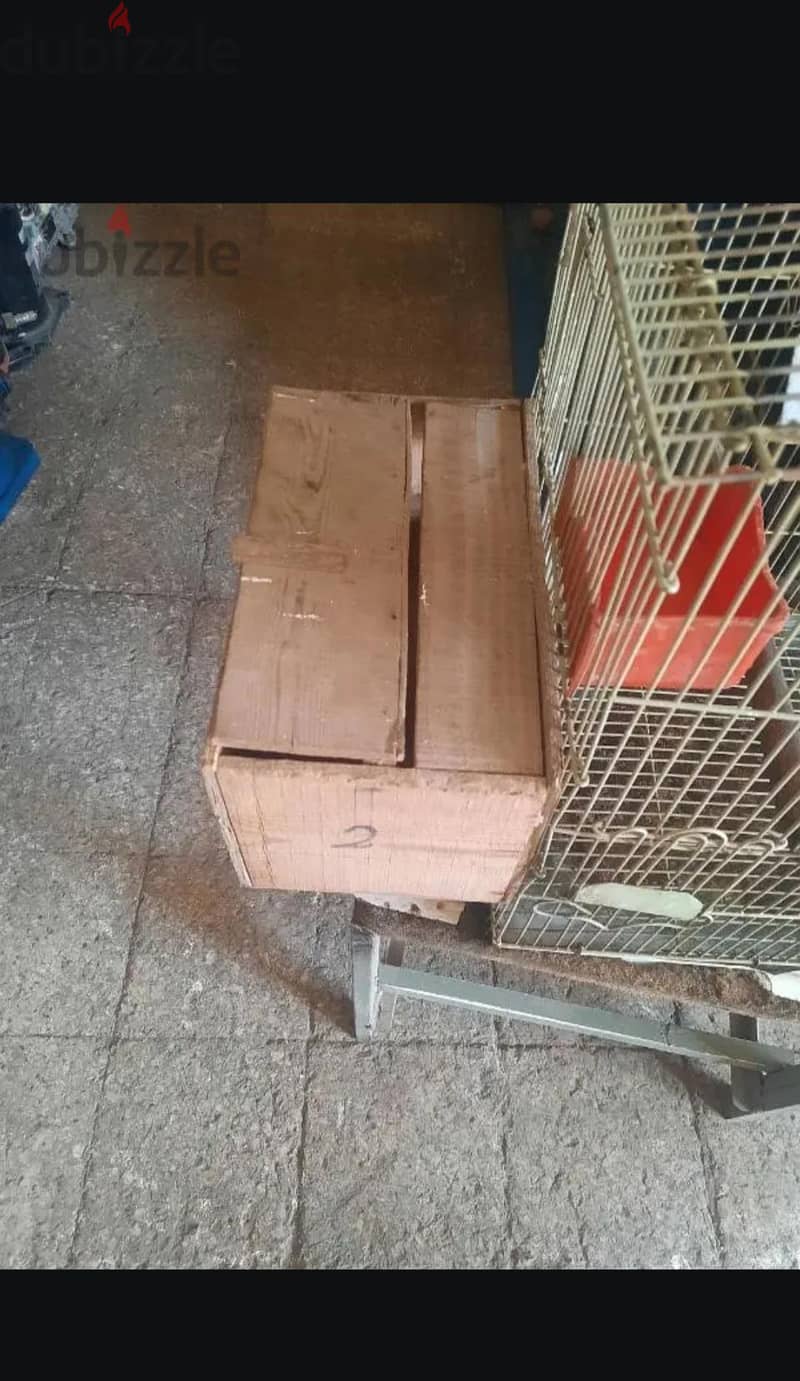 قفص ببغنات 3