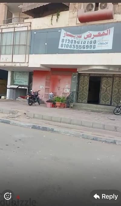 معرض رخصه تجاري 400متر امتداد النادي الاهلي مدينه نصر