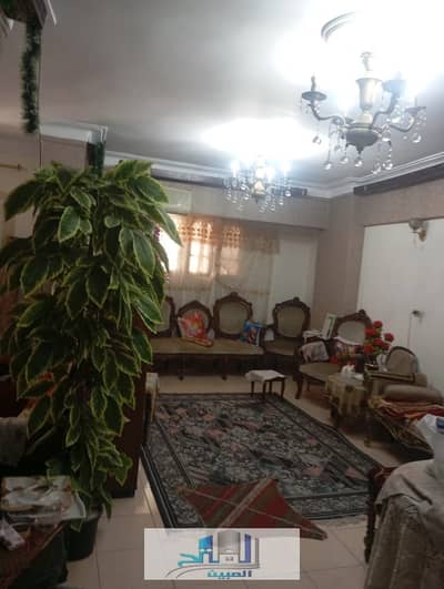 سيدي بشر