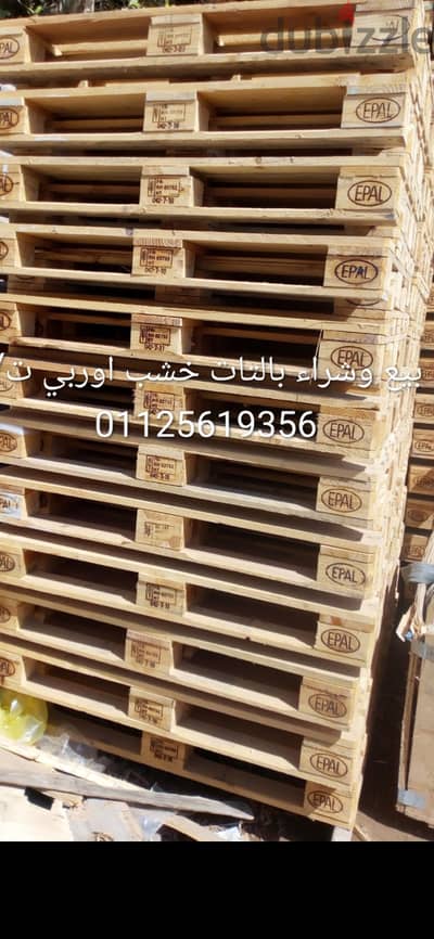 بالتات خشب اوربي