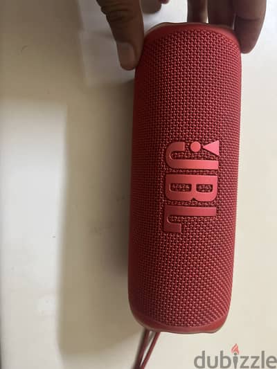 Jbl flip6