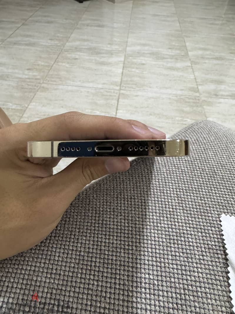 Apple - iPhone 13 Pro Max 1