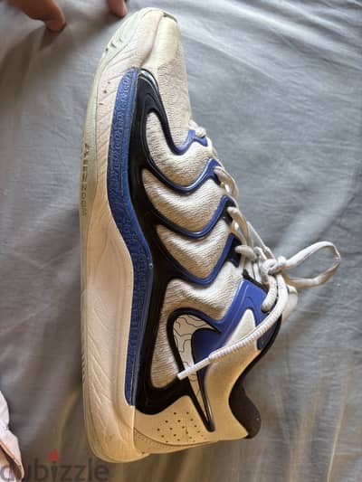 KD 17 blue and white