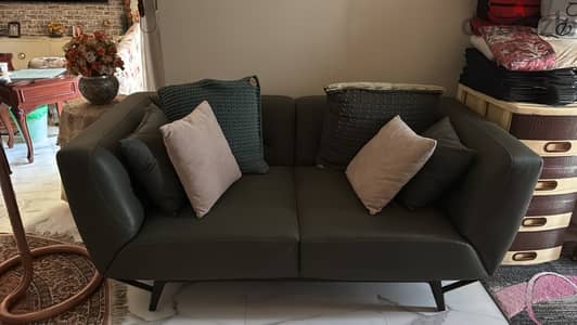 Divano 2 seater sofa green كنبة ديفانو ٢ مقعد أخضر زيتي