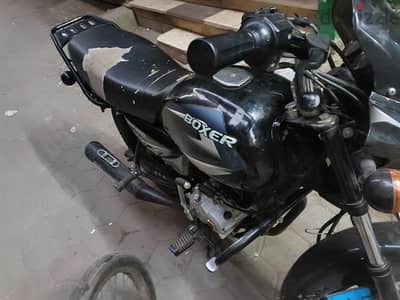 boxer بوكسر