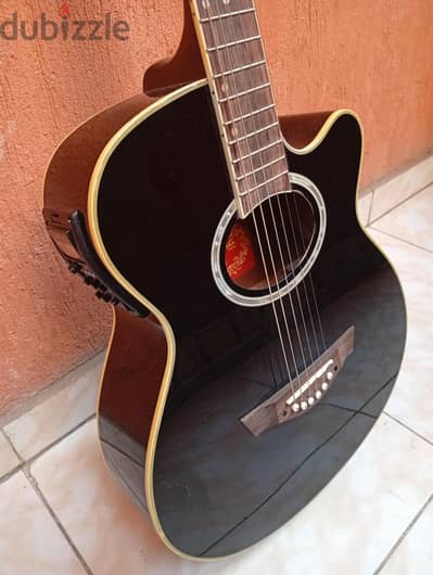 tagima guitar